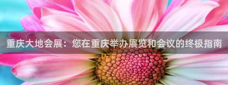果博公司上分客服