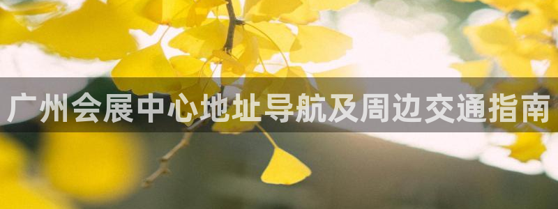 果博公司网站：广州会展中心地址导航及周边交通指南
