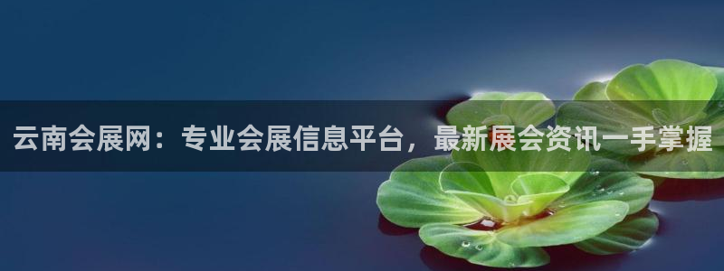 果博公司会员开户