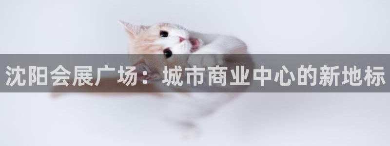 下载果博：沈阳会展广场：城市商业中心的新地标