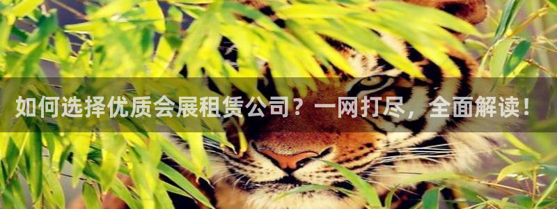 果博代理网：如何选择优质会展租赁公司？一