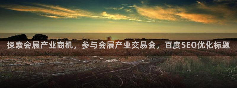 果博代理网：探索会展产业商机，参与会展产业交易会，百度SEO优化标题
