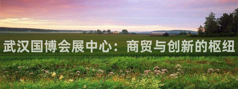 果博平台真实吗：武汉国博会展中心：商贸与创新的枢纽