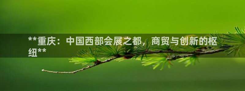 果博旗舰厅：**重庆：中国西部会展之都，商贸与创新的枢
纽**