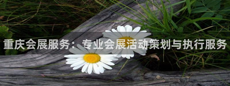 果博公司会员开户