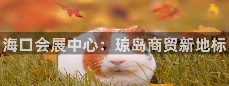 果博平台开户电话是多少：海口会展中心：琼岛商贸新地标