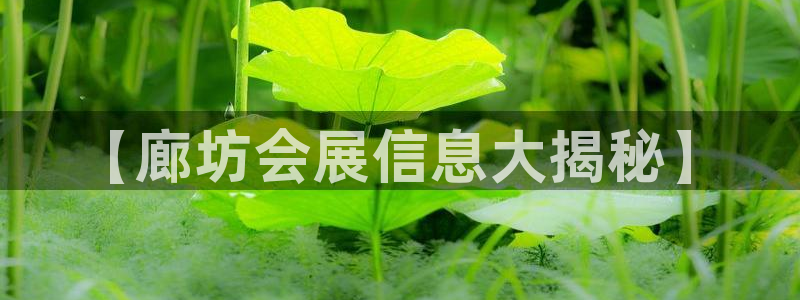 果博平台链接：【廊坊会展信息大揭秘】