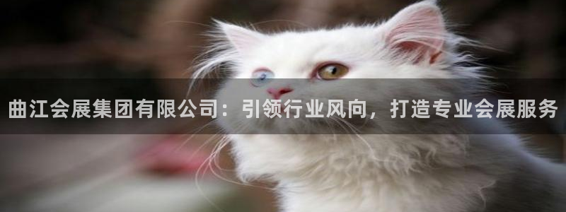 果博官方热线：曲江会展集团有限公司：引领行业风向，