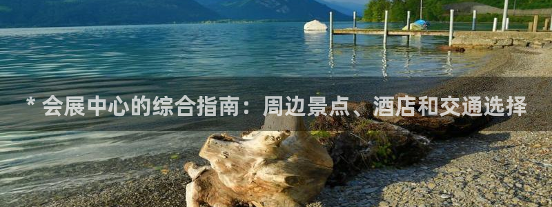 苹果电脑可以下载博易大师吗：* 会展中心