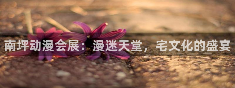 果博官方：南坪动漫会展：漫迷天堂，宅文化的盛宴