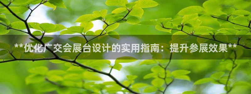 果博注册充值：**优化广交会展台设计的实用指南：提升参展效果**
