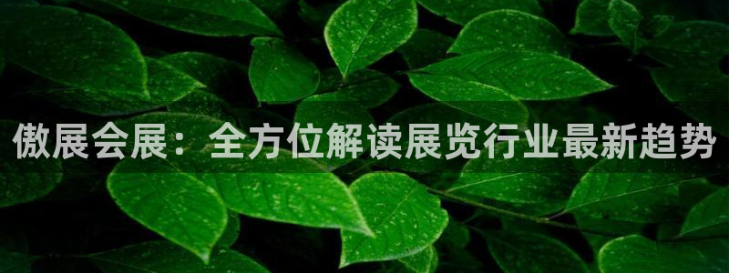 果博注册充值：傲展会展：全方位解读展览行业最新趋势