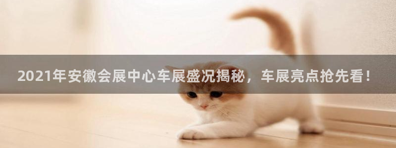 果博真人：2021年安徽会展中心车展盛况揭秘，车展亮点抢先看！