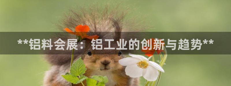 手机怎样下载果博：**铝料会展：铝工业的创新与趋势**