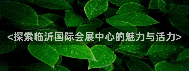果博官网客服电话号码：<探索临沂国际会展中心的魅力与活力>