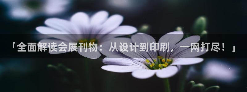 果博公司直属会员开户：「全面解读会展刊物：从设计到印刷，一网打尽！」