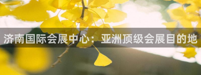 果博注册平台怎么注册的：济南国际会展中心：亚洲顶级会展目的地