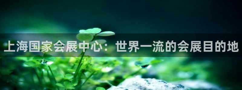 果博平台真实吗安全吗可信吗是真的吗：上海国家会展中心：世界一流的会展目的地