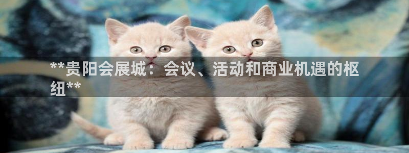下载果博app：**贵阳会展城：会议、活