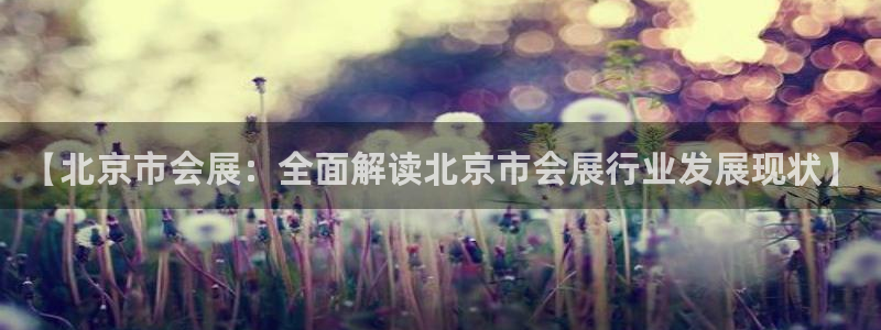 果博平台开户电话查询：【北京市会展：全面