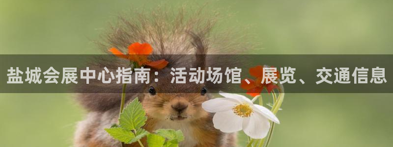 果博环保官网：盐城会展中心指南：活动场馆、展览、交通信息