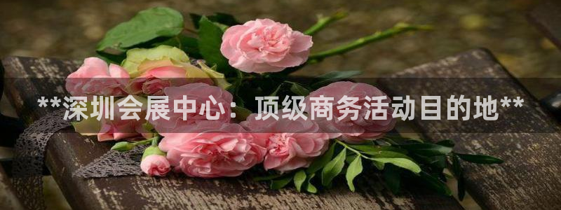 果博注册平台怎么注册：**深圳会展中心：