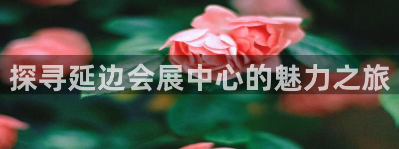 果博手机下载网址